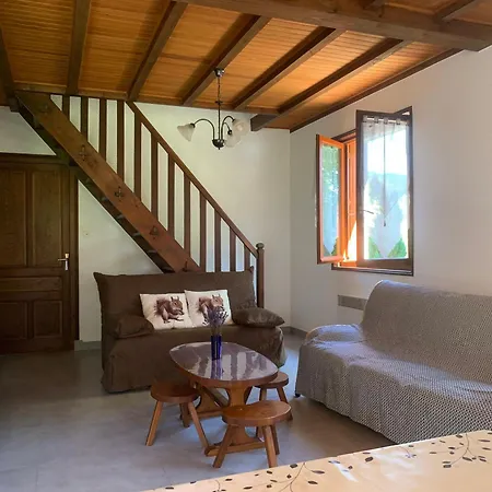 Montagne Avec Cheminee - 4 Chambres, Animaux Acceptes - Fr-1-582-243 *