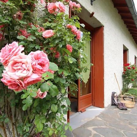 Montagne Avec Cheminee - 4 Chambres, Animaux Acceptes - Fr-1-582-243 * Araules