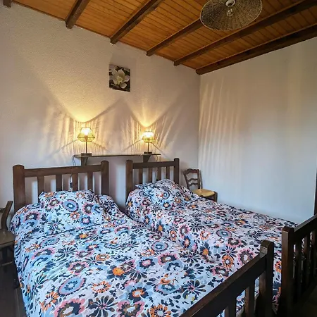 Montagne Avec Cheminee - 4 Chambres, Animaux Acceptes - Fr-1-582-243 *